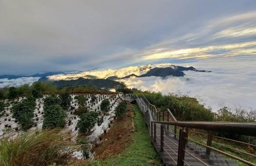 Fanlu Haus | 無·竹居-藝坊