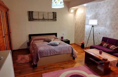 Ghimbav Wohnung | Milu Residence 2