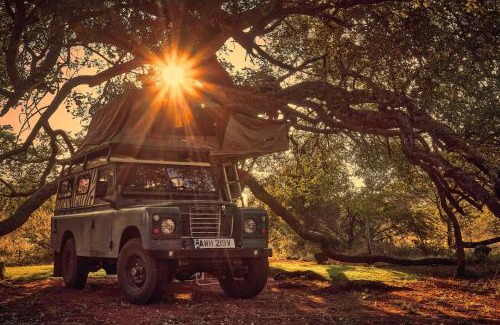 Tsumeb Sonstige | ZuriCamp - Campsite Halishi