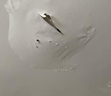 Markham Wohnung | Rabbit small hole