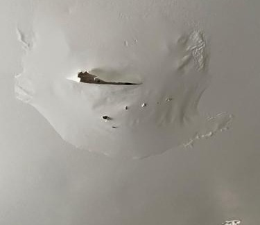 Markham Wohnung | Rabbit small hole
