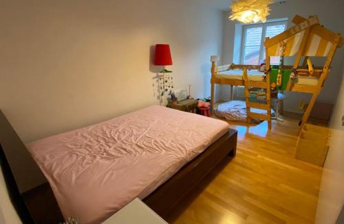 Nussbaumen Haus | Old Quarter River Front Best Location In Baden