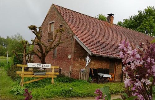 Veerle Haus | Het zevende geitje