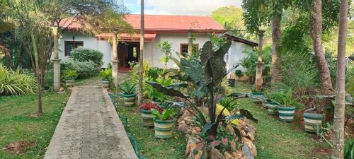 Kimbissa Haus | peacock house