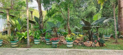Kimbissa Haus | peacock house