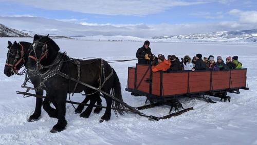 South Park Skihütte | Ski Jackson Hole, Yellowstone access, Indoor jacuzzi, remodeled kitchen n baths.