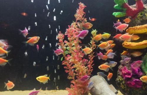 Bogota Wohnung | Daniels property