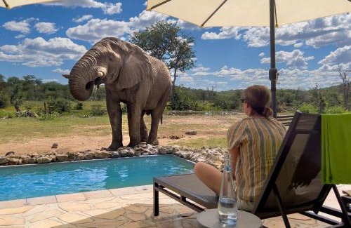 Okaukuejo Kabine | Ongava Tented Camp