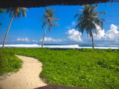 Sumatra Haus | Southern Mentawai Outpost