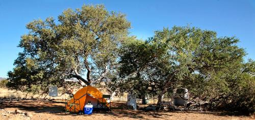 Solitaire Sonstige | Namib Desert Campsite