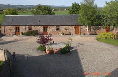 Perth Haus | The Courtyard
