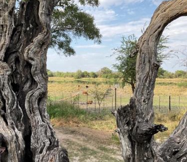 Namibia Sonstige | Mukuku Rest Camp