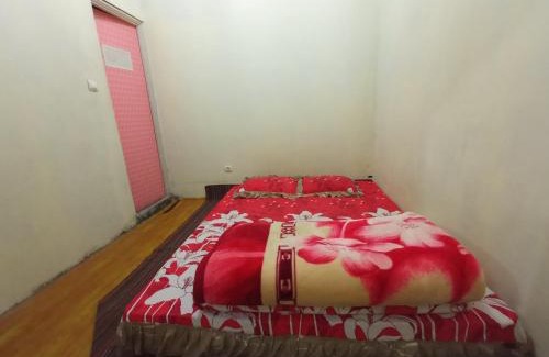 Dieng Kulon Haus | HOMESTAY AGRIYA LUBIS