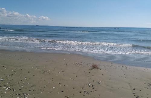 Livadia Wohnung | Entire Garden Studio 1km from the sea