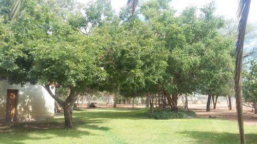 Mariental Haus | Koha Guesthouse