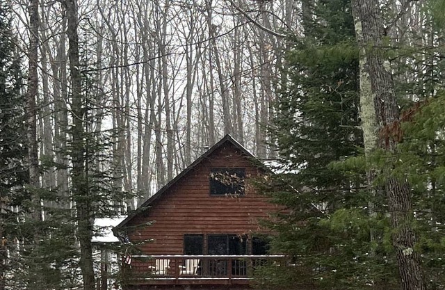 Secluded cabin on 5 acres but close to town and trails