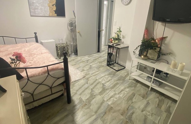Spacious Brooklyn Apartment