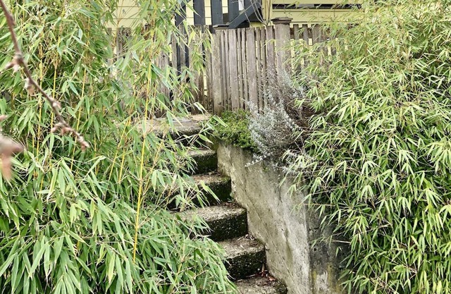 Seattle Vacation Home: Charming and Eclectic 2 Bedroom Craftsman in the heart of Columbia City