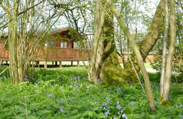 5 Sterne, preisgekrönte skandinavische Lodge