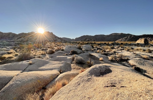 Wonderland Ranch /2 min from JTNP /Stargazing + Sunset Views /Family-Friendly