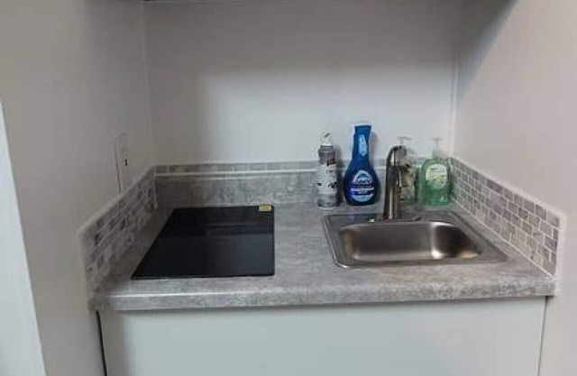 Bright, spacious private room/bathroom/entrance.