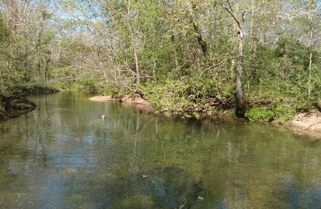 RV sites with river access.