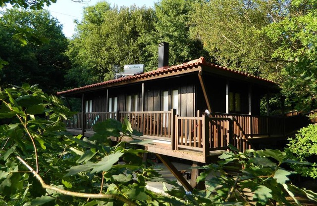 Holiday house Arcos de Valdevez for 1 - 4 persons with 1 bedroom - Holiday home