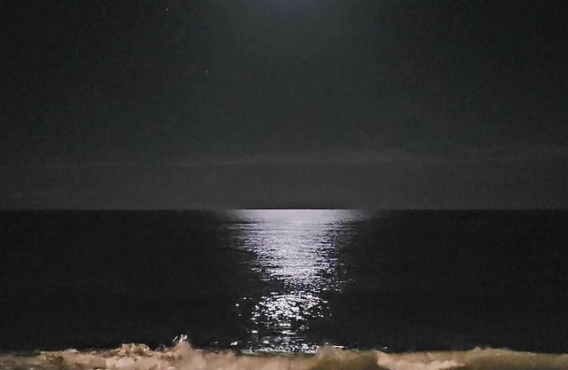 Oceanfront 1 Bdrm Condo with Balcony @ Reef Ocean Resort in Vero Beach, Florida