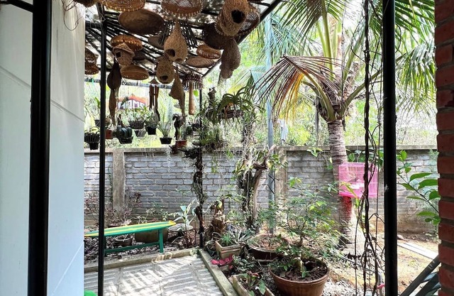 Sakura Mura Retreat and Wellness