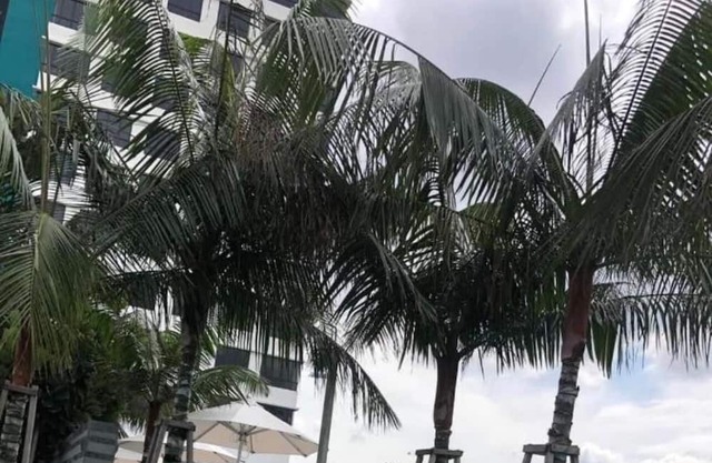 Cozy Private Entire Apartment @UKM/Kajang/Putrajaya/Bangi/MRT