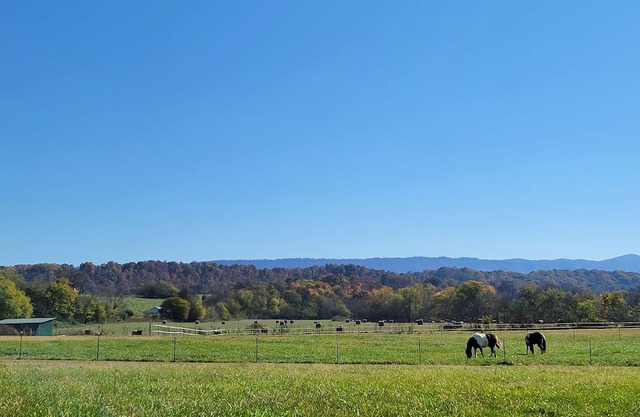 TN Riverfront RV escape w/ RV, Kayaks, & beautiful views!