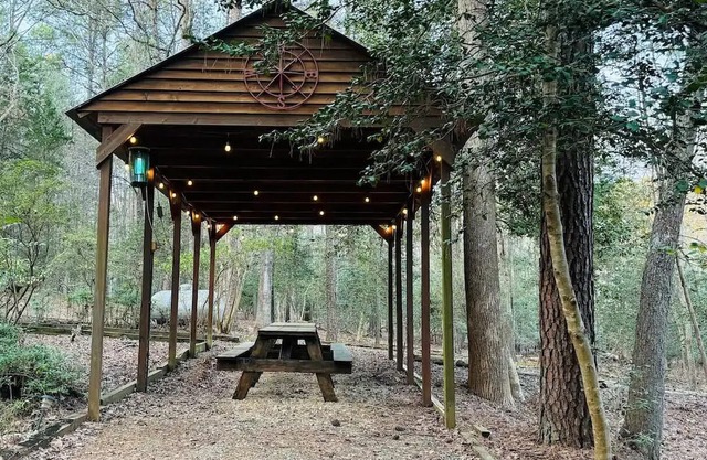 Cute Cabin in the woods ideal for couples