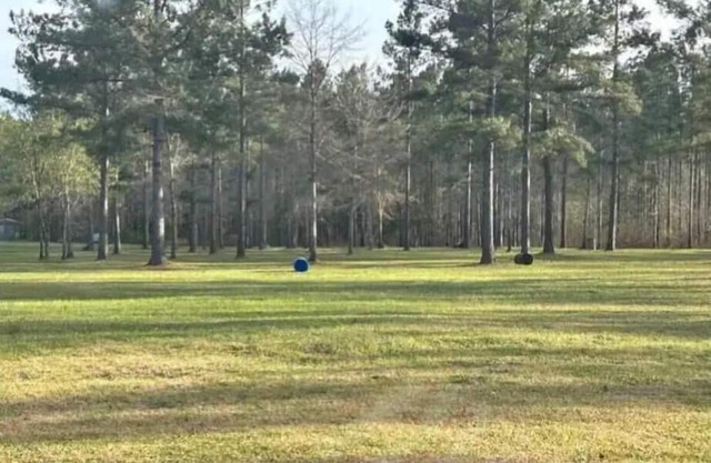 Stock Law Gap Campground