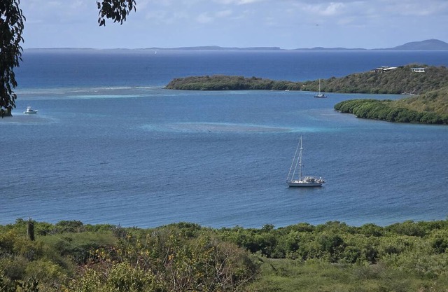 Coqui Estate; Rustic Chic and Magical with Private Boat Dock and Ocean View