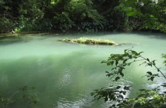 Hill Country Getaway on the San Marcos River w/ 200 ft of private river access.