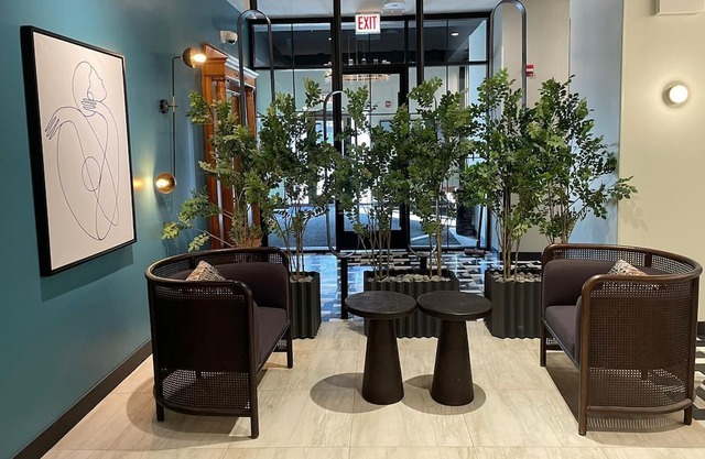 Luxury Pent House in the Gold Coast