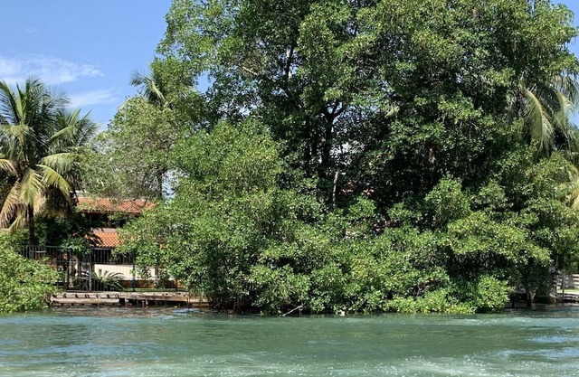 Cozy flat non-smoking on lagoon island in Rio's modern neighborhood-Beach&Subway