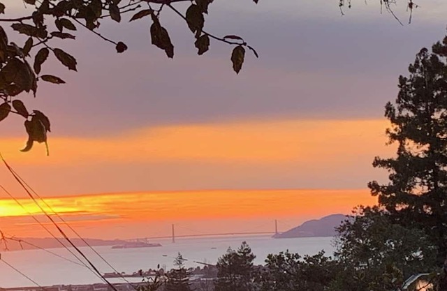 Tasteful, light-filled & lovely, near UC Berkeley