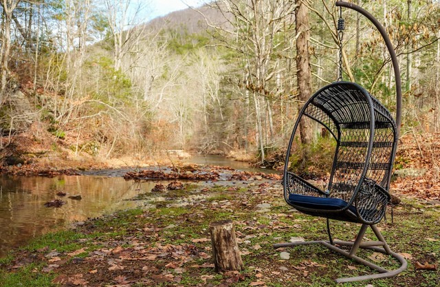 Captivating cabin in Shenandoah