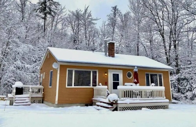 New! Toad Hill Hideaway Mountainside Cabin