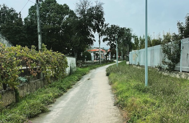 Monte Carlo - o seu Alojamento Local na Vila Termal de Pedras Salgadas