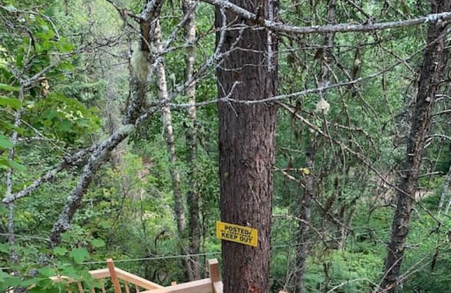 Mini A-Frame ‘glamping’/ creek/ fire pits/ etc