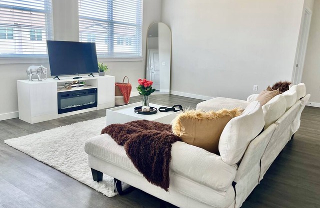 Luxury Apartment Near NRG Stadium!