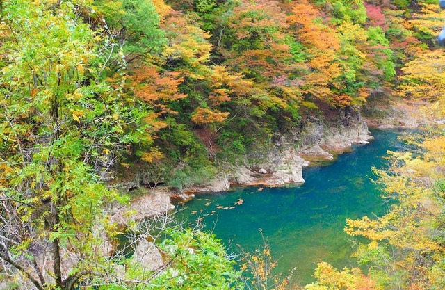 NonsmokingWesternstyle room with 1 night and 2 meals Kiritanpo nabe /Semboku Akita