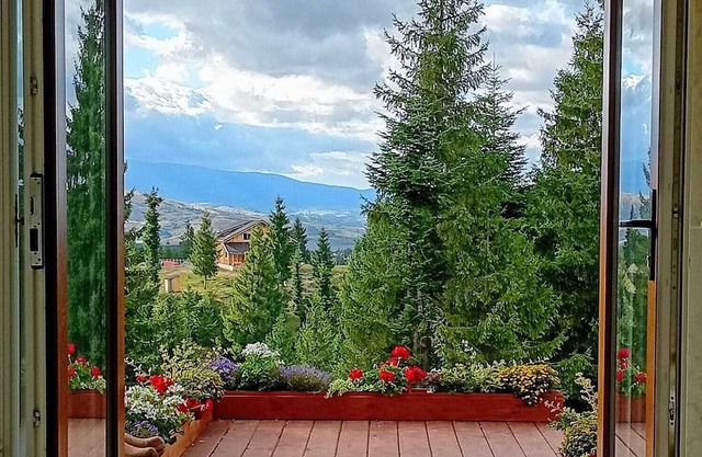 Charming 1-bedroom bed & breakfast in Dealu Negru