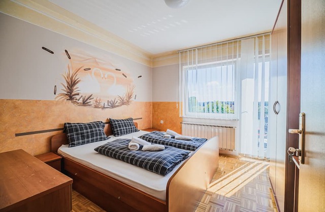 Double Room with Balcony at Siva Čaplja