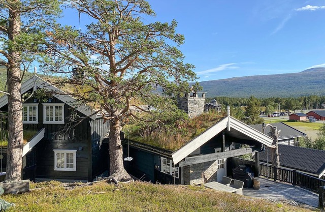Pet friendly home in Bjorli with sauna