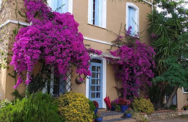 Mas cayrol - RIVESALTES