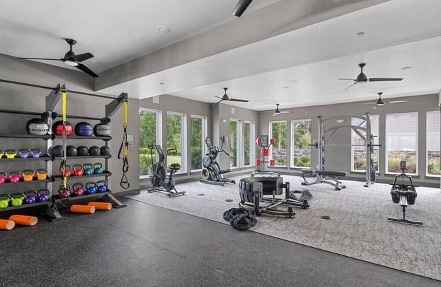 Landing at The Newton Apartments - 1 Bedroom in Palisades