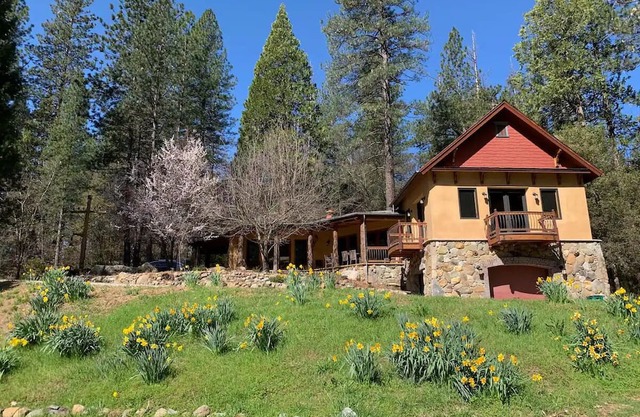 Designer's Spacious Nature Retreat Close To Town with AC, & WiFi in Nevada City